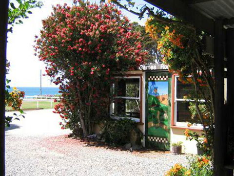 King Island Accommodation Cottages - Accommodation Adelaide 11