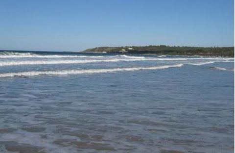 King Island Accommodation Cottages - Accommodation Adelaide 18