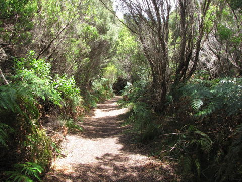 King Island Accommodation Cottages - Accommodation Adelaide 12