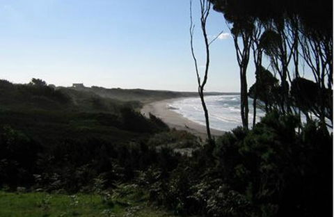 King Island Accommodation Cottages - Accommodation Adelaide 19