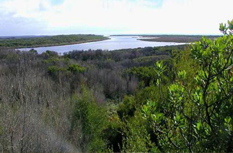 King Island Accommodation Cottages - Accommodation Adelaide 20