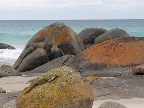 King Island Accommodation Cottages - Accommodation Adelaide 40