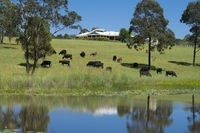 Book Nabiac Accommodation Vacations Accommodation Adelaide Accommodation Adelaide