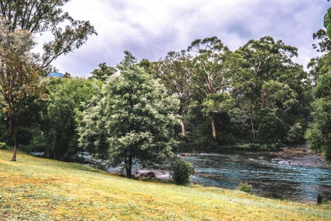 BIG4 Breeze Holiday Parks - Eildon - Accommodation Adelaide 0