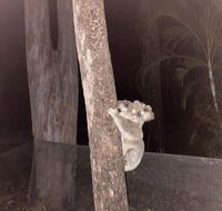 5 mins to Movie world  pet friendly - Accommodation Adelaide