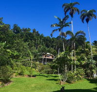 A Daintree Garden - Accommodation Adelaide