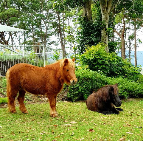 Aaronlee Retreat - Accommodation Adelaide 1