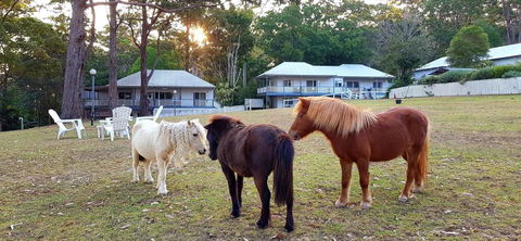 Aaronlee Retreat - Accommodation Adelaide 2
