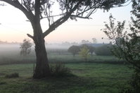 Book Heyfield Accommodation Vacations Accommodation Adelaide Accommodation Adelaide
