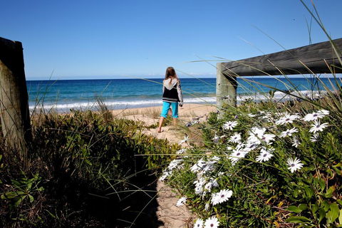 Absolute Beachfront Mollymook - Accommodation Adelaide 3