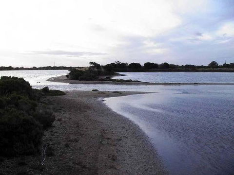 Absolute Waterfront - Accommodation Adelaide 1