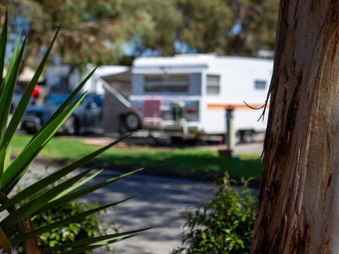 Echo Holiday Parks - Windsor Gardens - Accommodation Adelaide 4