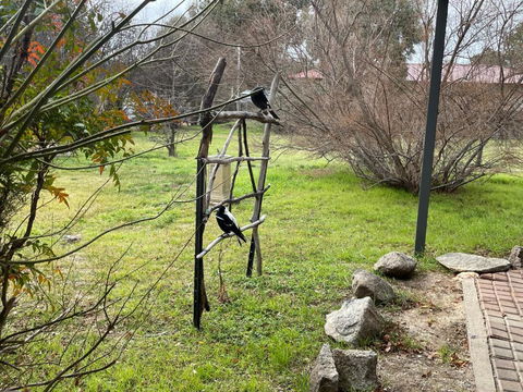 Florence Lodge - Accommodation Adelaide 4
