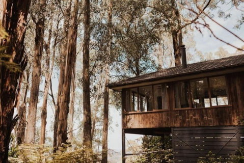 Forest Retreat - Accommodation Adelaide 0