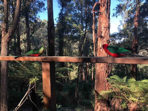 Forest Retreat - Accommodation Adelaide 4