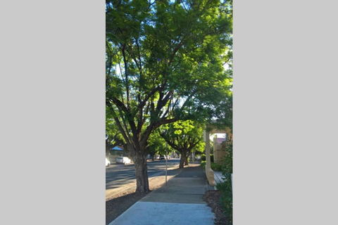 Gawler Heritage Accommodation - Accommodation Adelaide 1