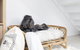Hanks Corlette House, 49 Pantowora St - Pet Friendly, Air Con, Boat Parking, Wi-Fi - thumb 1