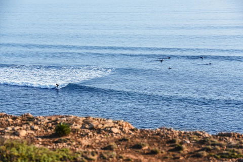 Aldinga Beach Experience - Accommodation Adelaide 3