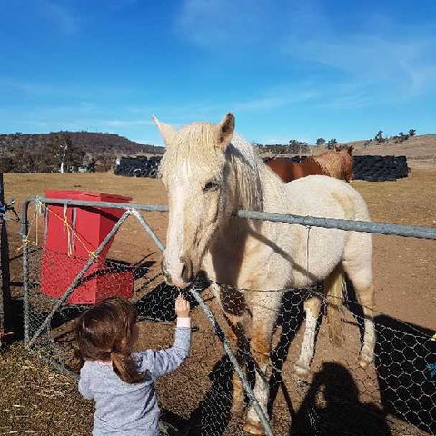 Alpine Country Motel - Accommodation Adelaide 3