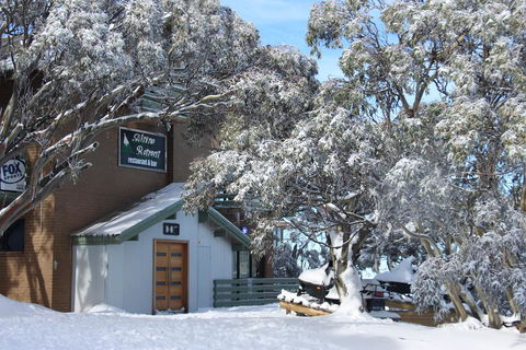 Alpine Retreat Mt Buller - Accommodation Adelaide 0