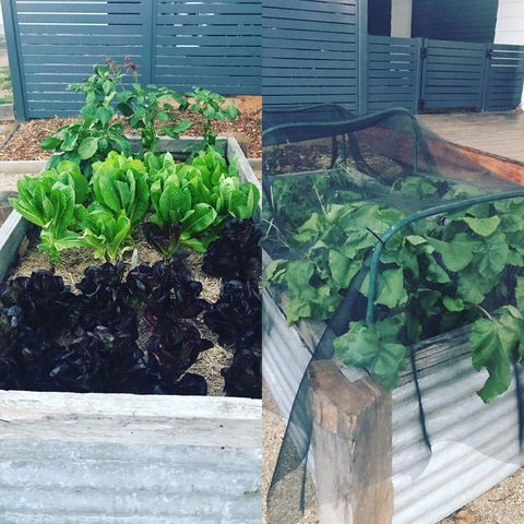 AMs Farm Stay - Accommodation Adelaide 3