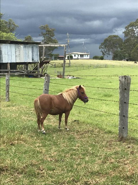 AMs Farm Stay - Accommodation Adelaide 0