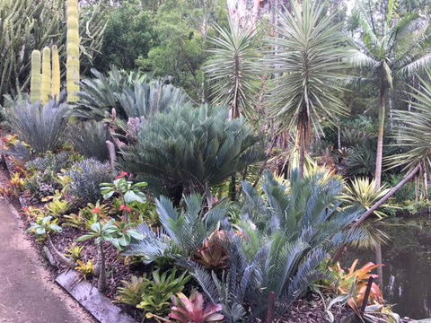 Ancient Gardens Guesthouse & Botanical Gardens - Accommodation Adelaide 2