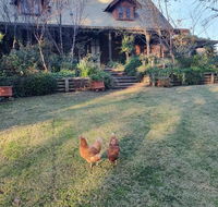 Angaston by the Winter Creek - Accommodation Adelaide