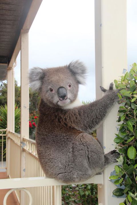 Angela's Beach Stays - Accommodation Adelaide 3