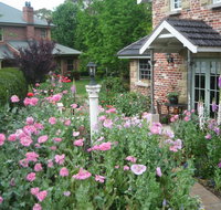 Annie's cottage - Accommodation Adelaide