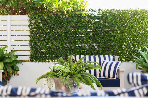 Arabella - Stylish Seaside Sanctuary With Views - Accommodation Adelaide 2