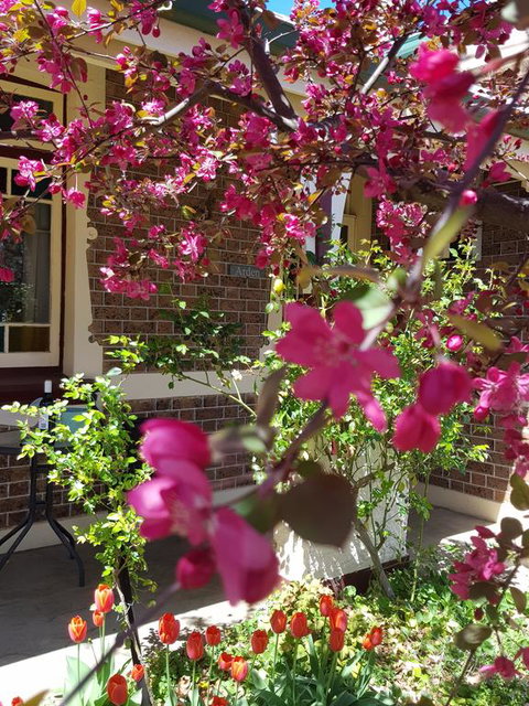 Arden On McLachlan - Accommodation Adelaide 3