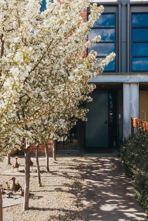Mews Cottages - Accommodation Adelaide 2