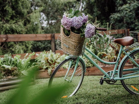 Mountview Alpaca Farmhouse - Accommodation Adelaide 2