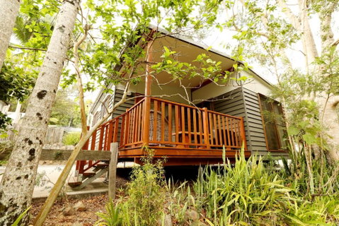 Mt Warning Rainforest Park - Accommodation Adelaide 1