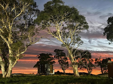 Myrtle At Lexington Park - Accommodation Adelaide 3