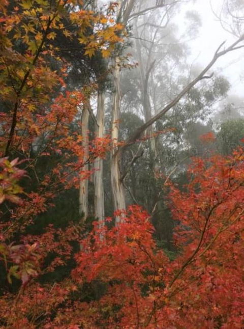 Olinda Enchanted Tower Spa Gas Log Fire And Netflix - Accommodation Adelaide 2
