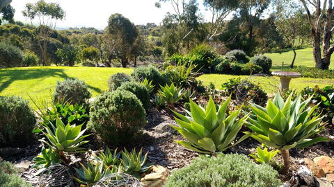 Austiny Bed And Breakfast Victor Harbor - Accommodation Adelaide 2