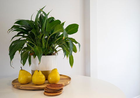 Azure Beach Retreat - Spa Luxury - Accommodation Adelaide 2