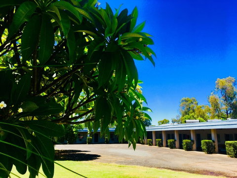 Balonne River Motor Inn - Accommodation Adelaide 0