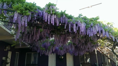 Barossa Gateway Motel - Accommodation Adelaide 2