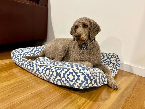 Relax And Reconnect At MaluaBay - Accommodation Adelaide 1