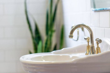 Renovated Cottage In CBD With Backyard with Accommodation Adelaide