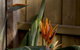 Rose Cottage - thumb 1