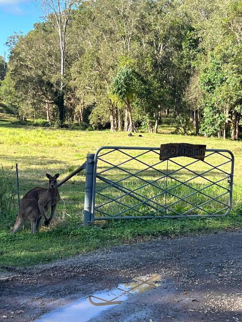 Rural Self Contained 3 Bedroom Cottage On Acreage, - Accommodation Adelaide 2
