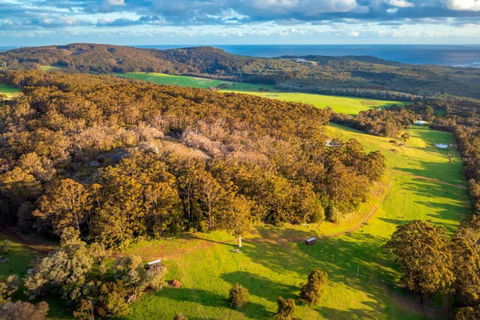 Salt The Tiny Cabin In Denmark - Accommodation Adelaide 3