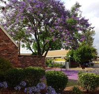 Belvoir Village Motel  Apartments Wodonga - Accommodation Adelaide