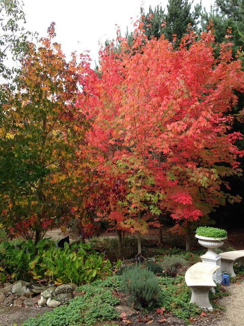 Black Duck Farm - Accommodation Adelaide 1