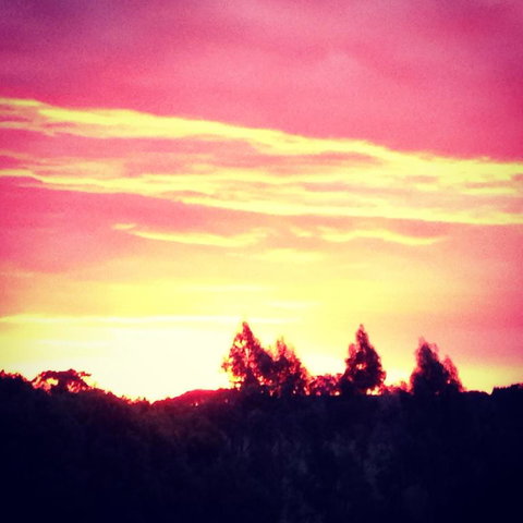 Black Duck Farm - Accommodation Adelaide 3