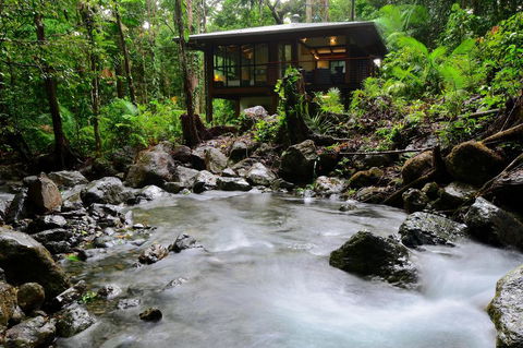 Black Palm Cape Tribulation - Accommodation Adelaide 2